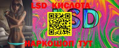 спиды Кингисепп
