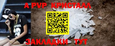 спиды Кингисепп