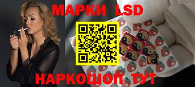 спиды Кингисепп