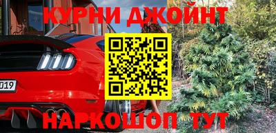 спиды Кингисепп