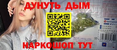 спиды Кингисепп