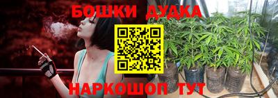 спиды Кингисепп