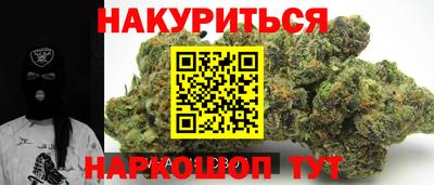 спиды Кингисепп