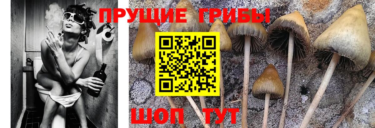 Галлюциногенные грибы ЛСД  Вход с VPN  Кохма 